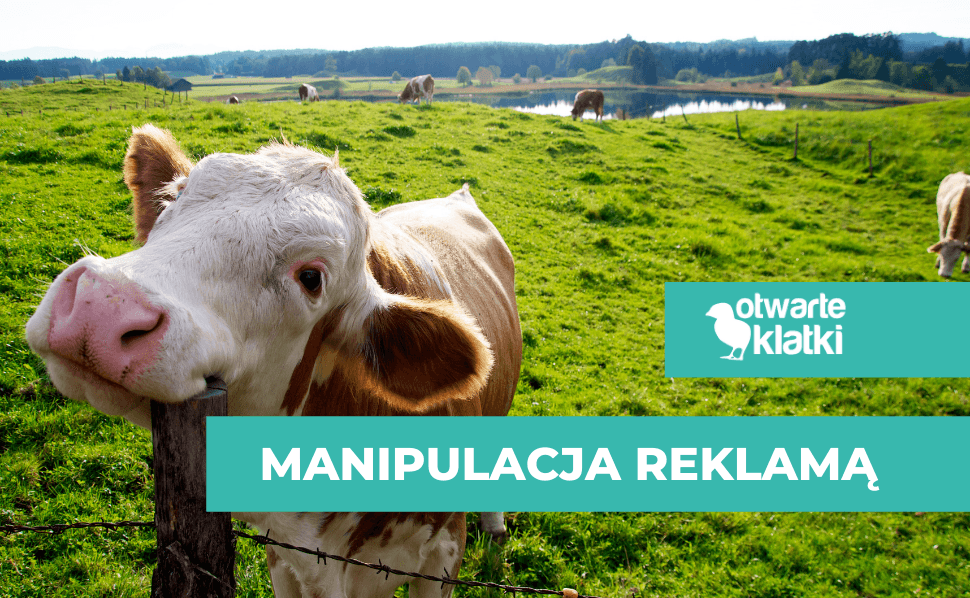 manipulacja reklamą