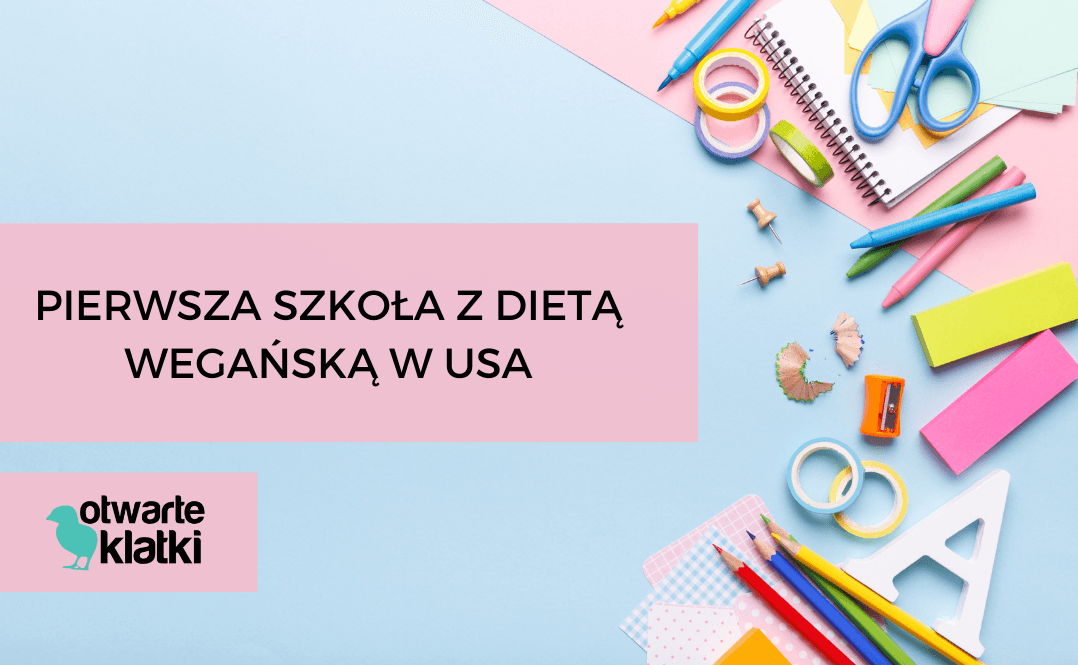 pierwsza szkoła