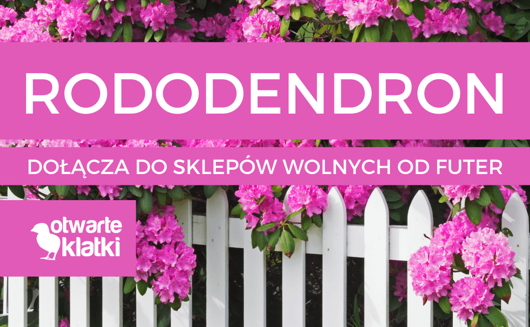 Rododendron