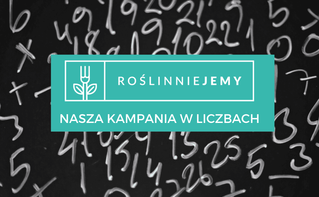 liczby