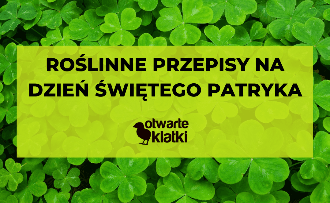 przepisy na dzień świętego Patryka