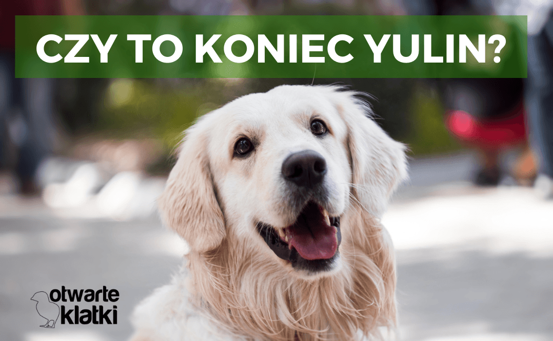 Yulin
