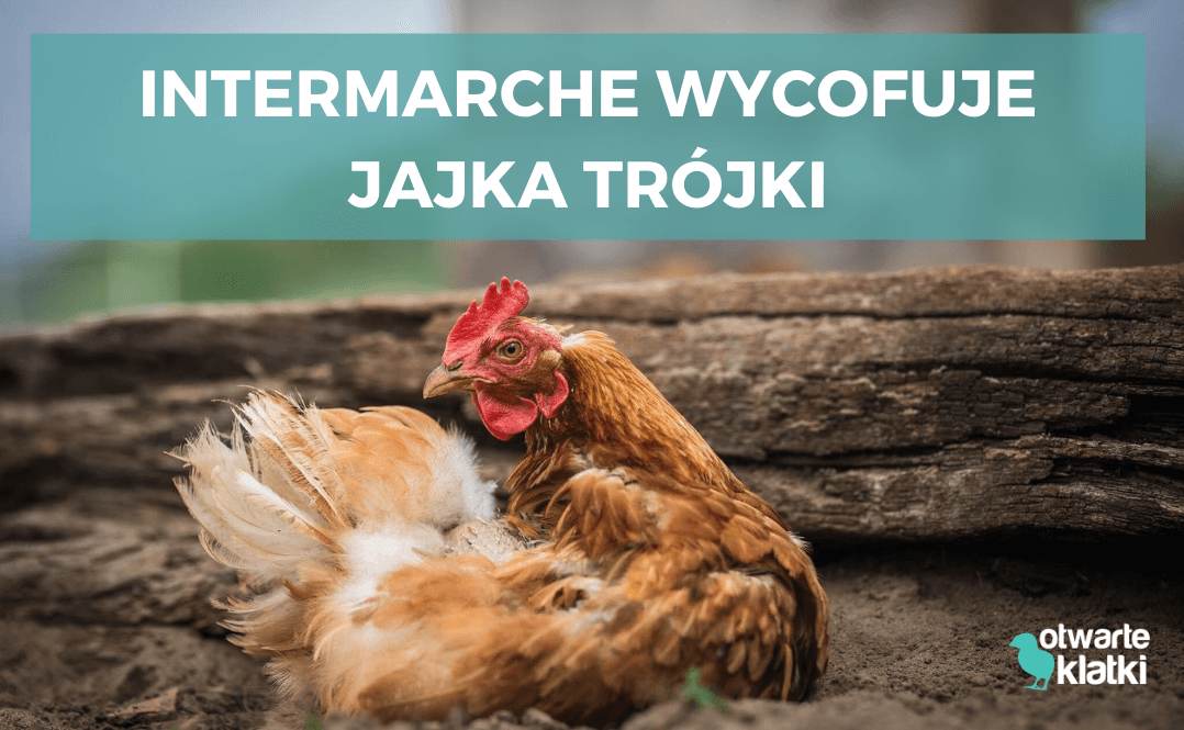 intermarche