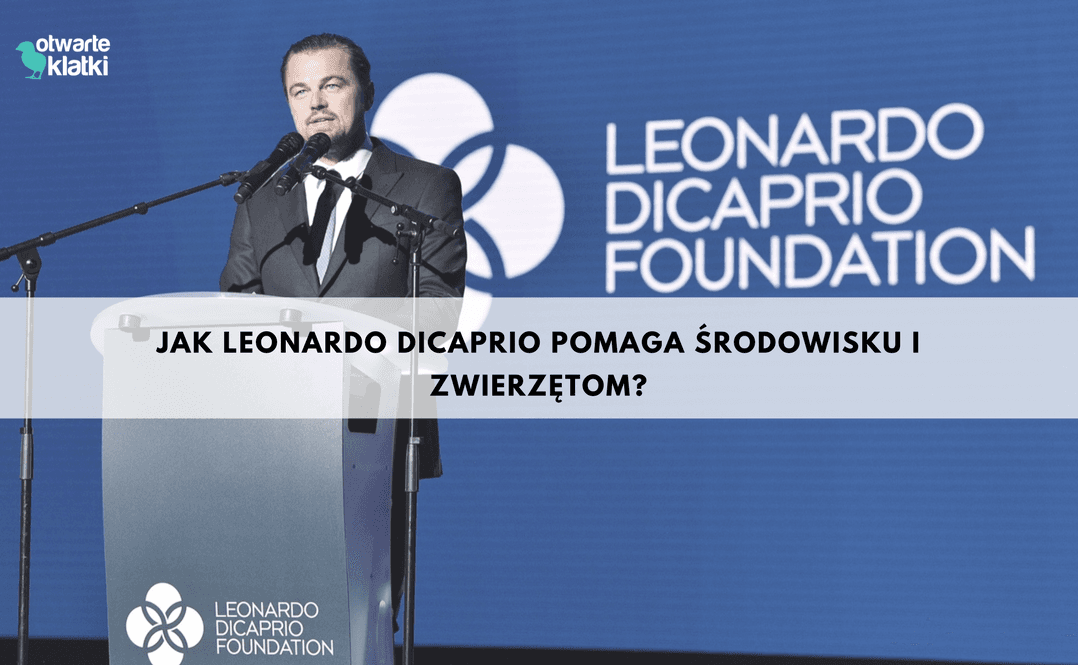 zmiana nawyków żywieniowych