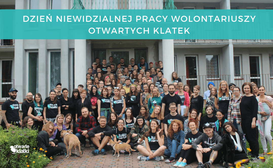 wolontariusze Otwartych Klatek