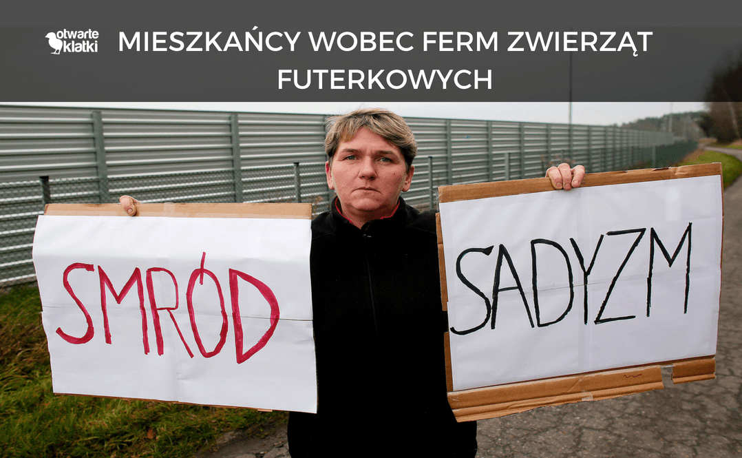 Mieszkańcy wobec ferm zwierząt futerkowych