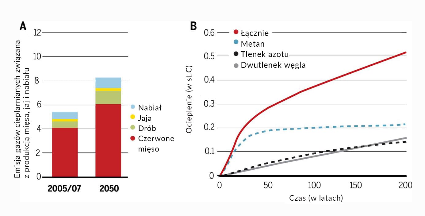gazy cieplarniane, hodowla przemysłowa, ocieplenie klimatu