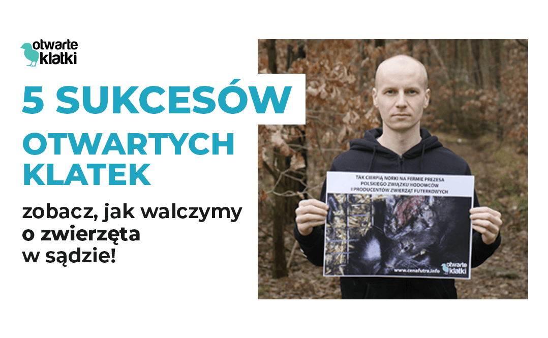 5 sukcesów Otwartych Klatek