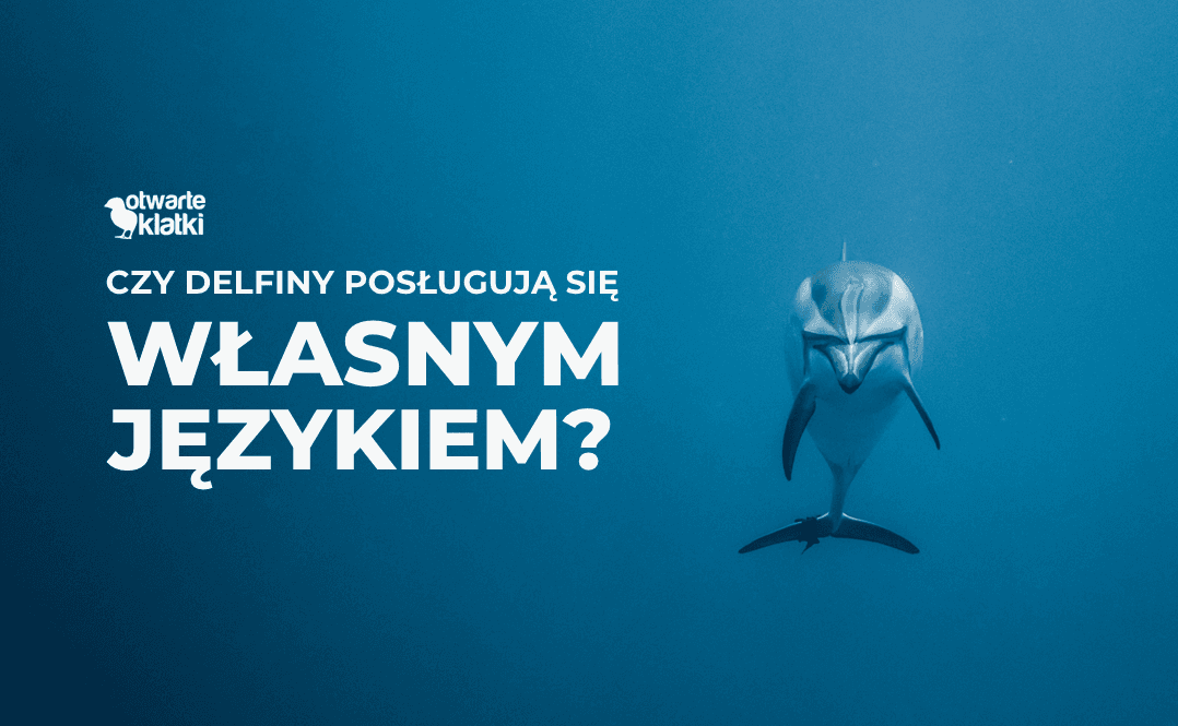delfiny mówią własnym językiem