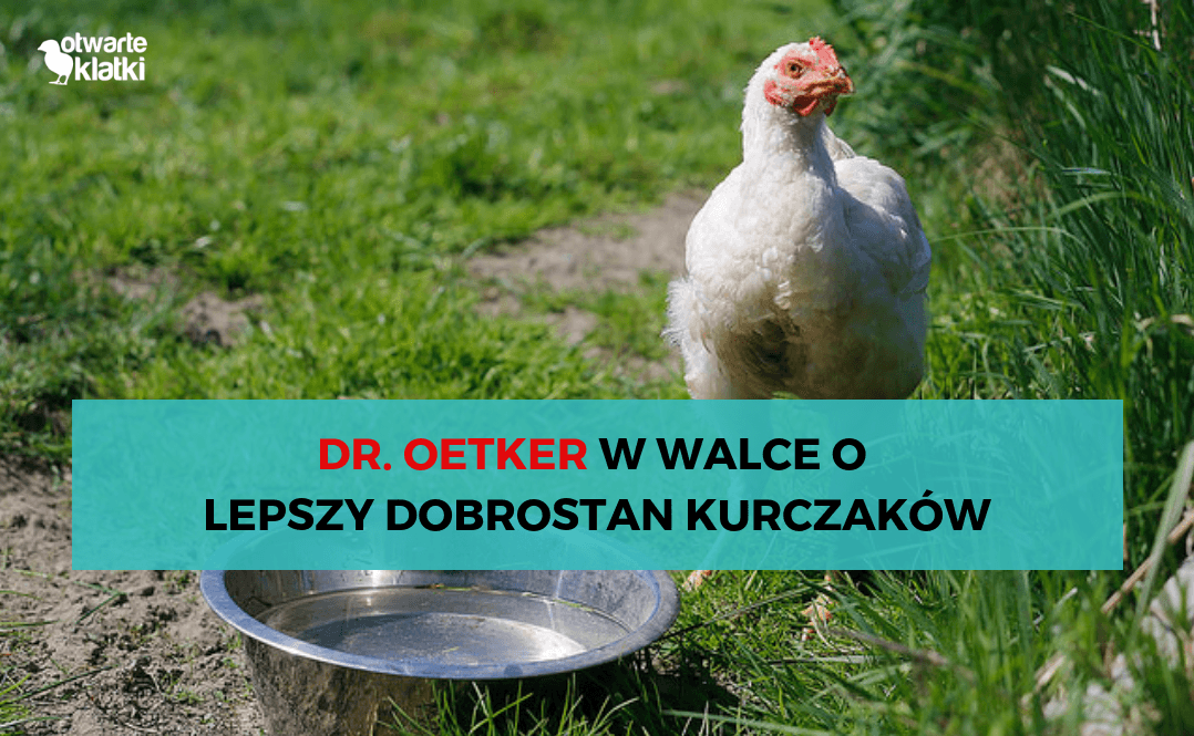 Dr. Oetker wyższe standardy dobrostanowe dla brojlerów