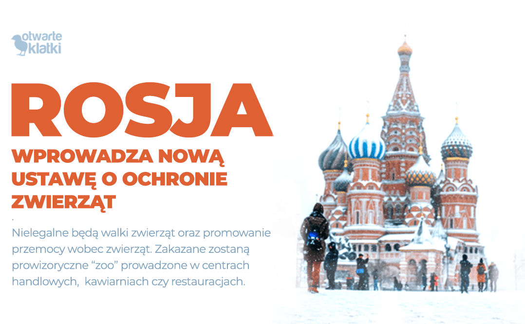 Rosja wprowadza nową ustawę o ochronie zwierząt