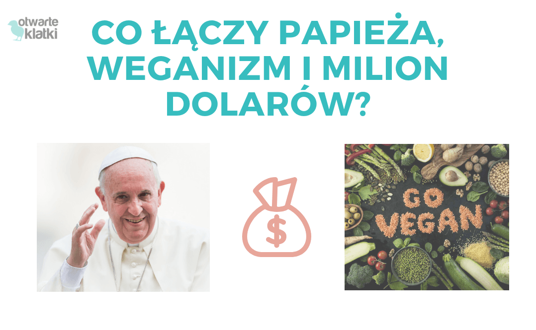 papież, weganizm, milion dolarów