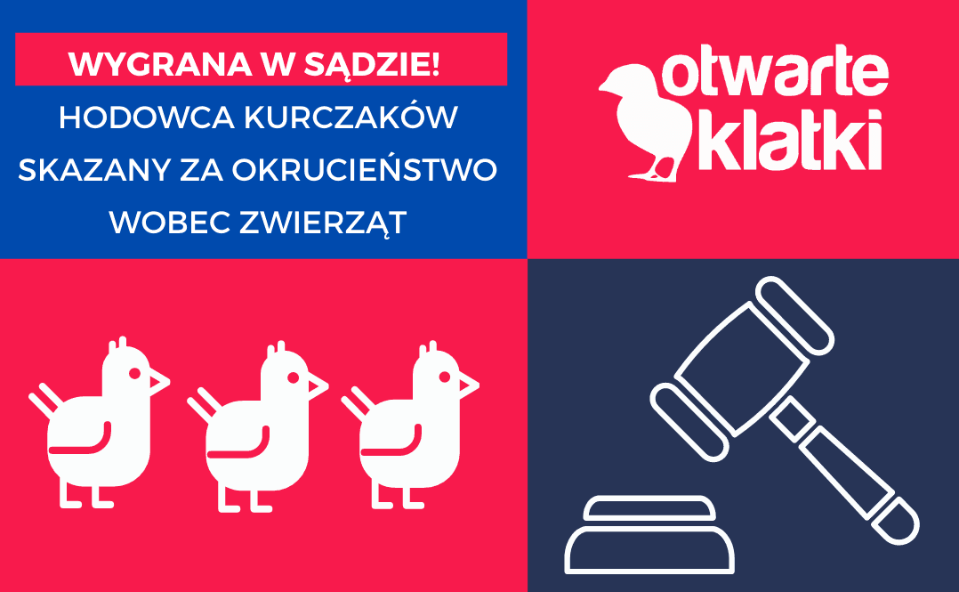 Okrucieństwo wobec zwierząt