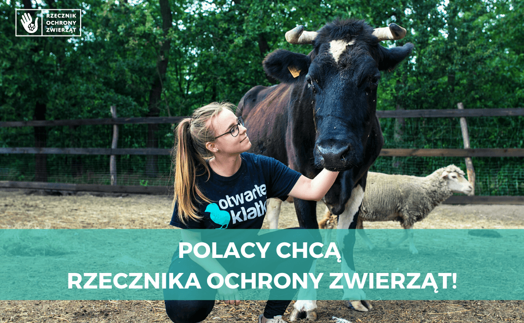 Ochrona Zwierząt