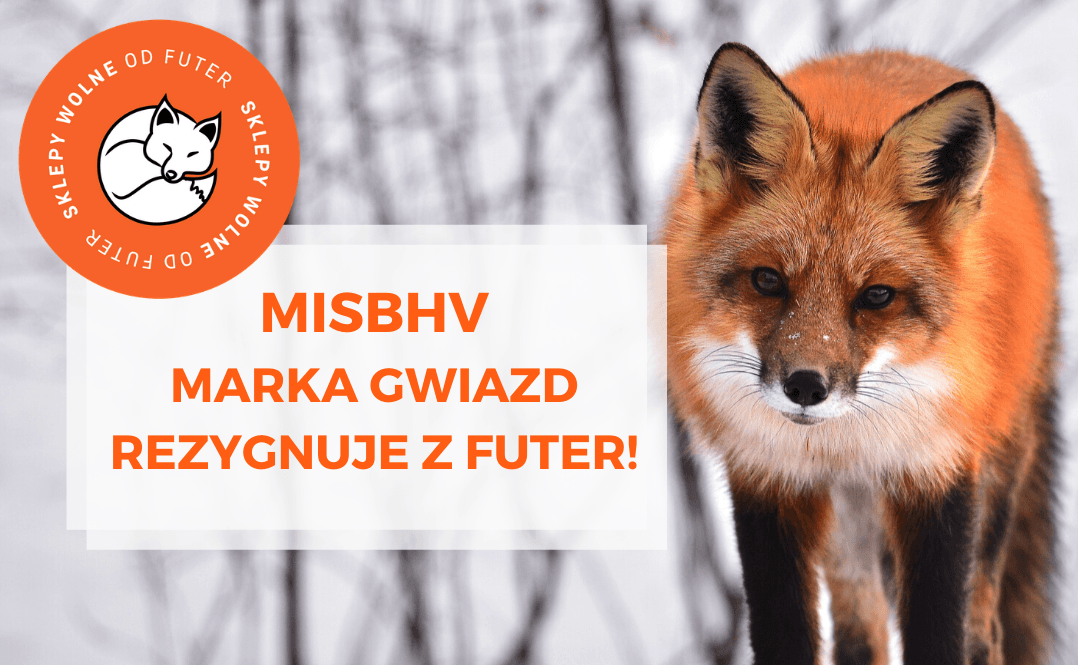 Polska marka MISBHV rezygnuje z futer naturalnych!