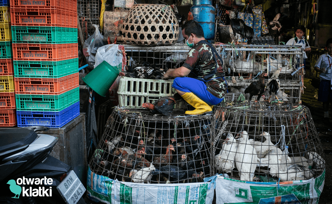 bangkok