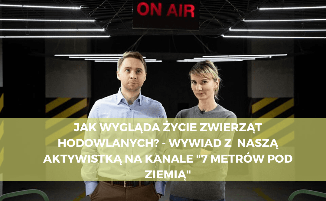 Otwarte Klatki na kanale "7 metrów pod ziemią"