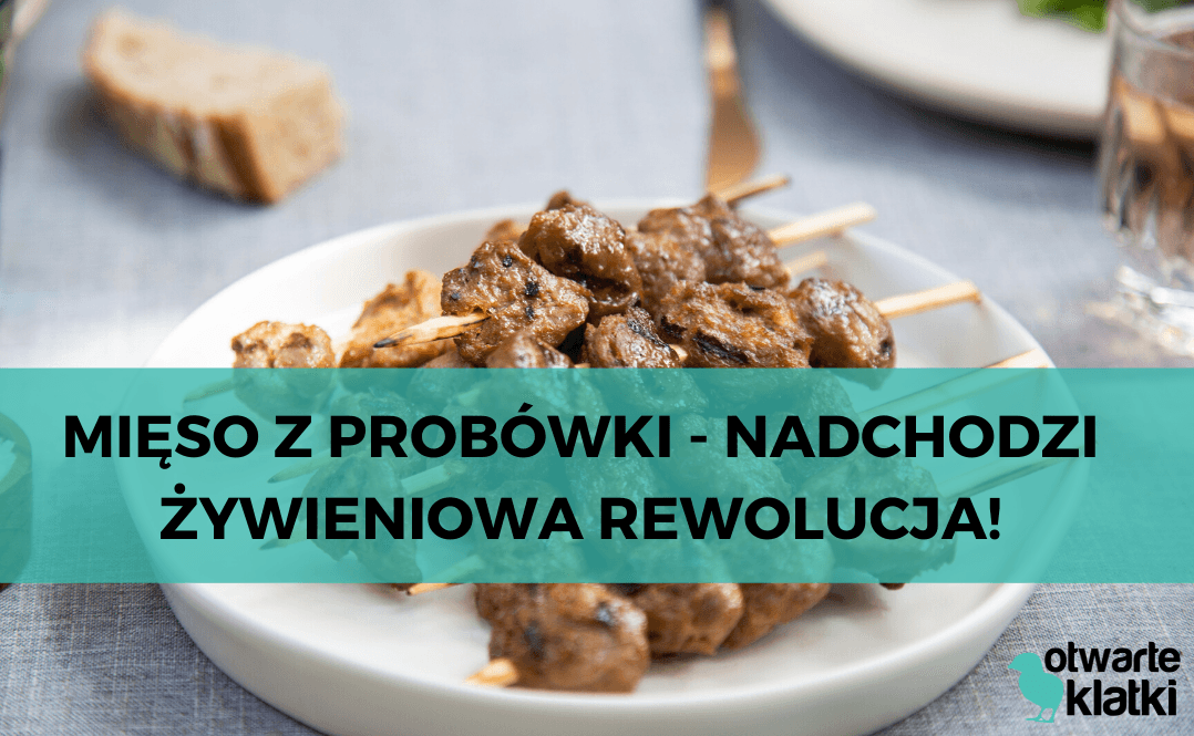 Czyste mięso