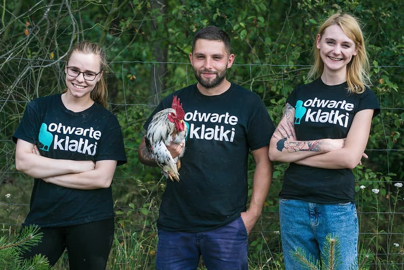DoBcz do Klubu Otwartych Klatek