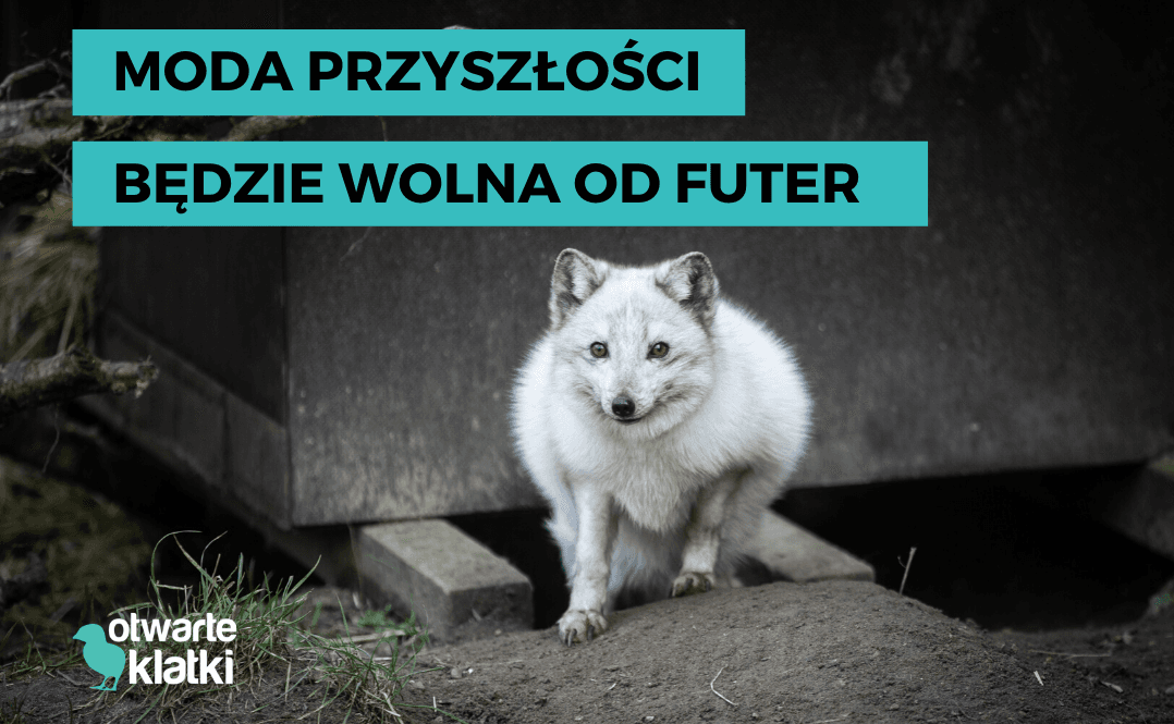 Futro naturalne
