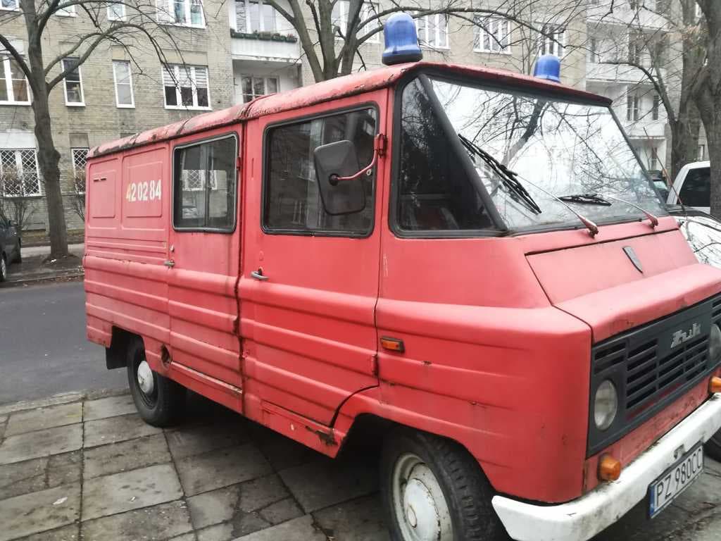 Wóz strażacki, ręcznie malowane buty czy rzeźby - sprzedając na Allegro możesz pomóc zwierzętom!
