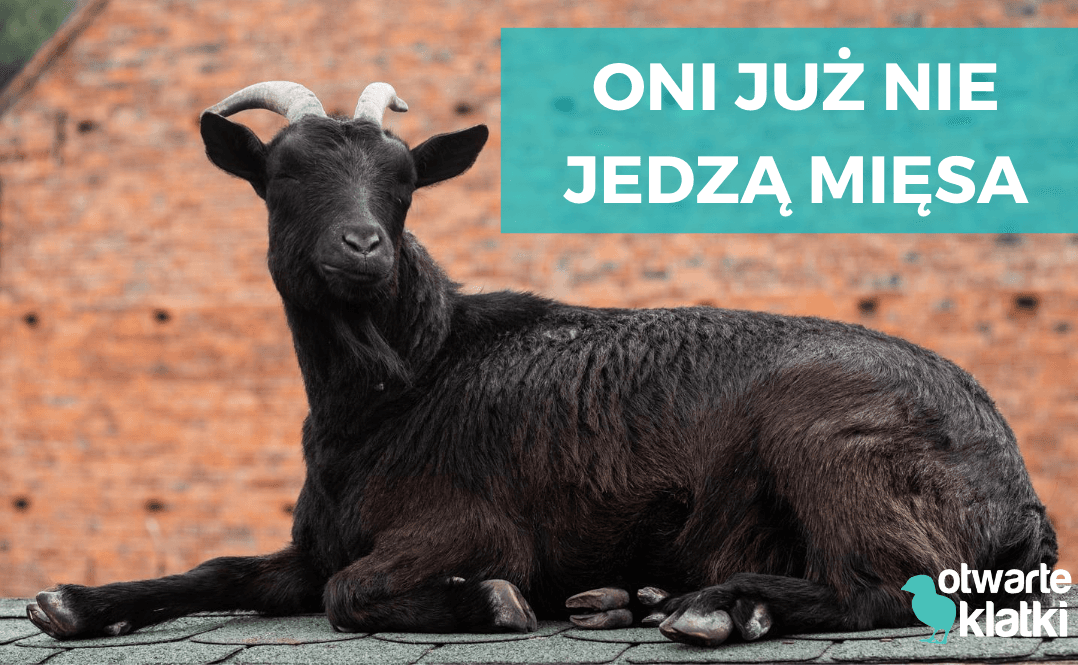 Muzycy weganie