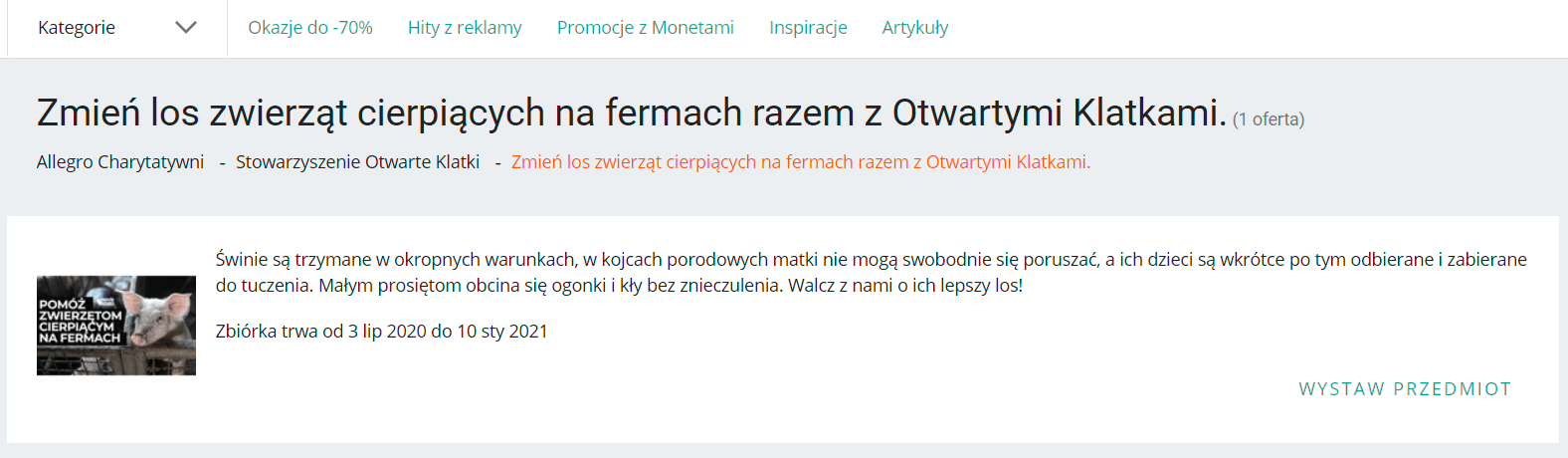 Wóz strażacki, ręcznie malowane buty czy rzeźby - sprzedając na Allegro możesz pomóc zwierzętom!