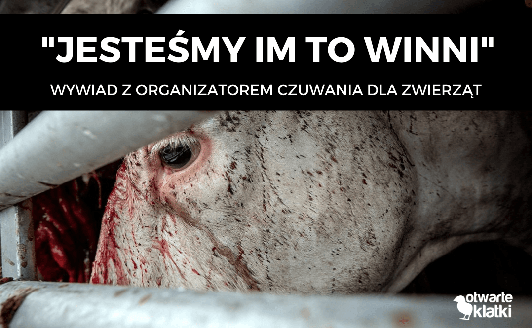 czuwanie dla zwierząt