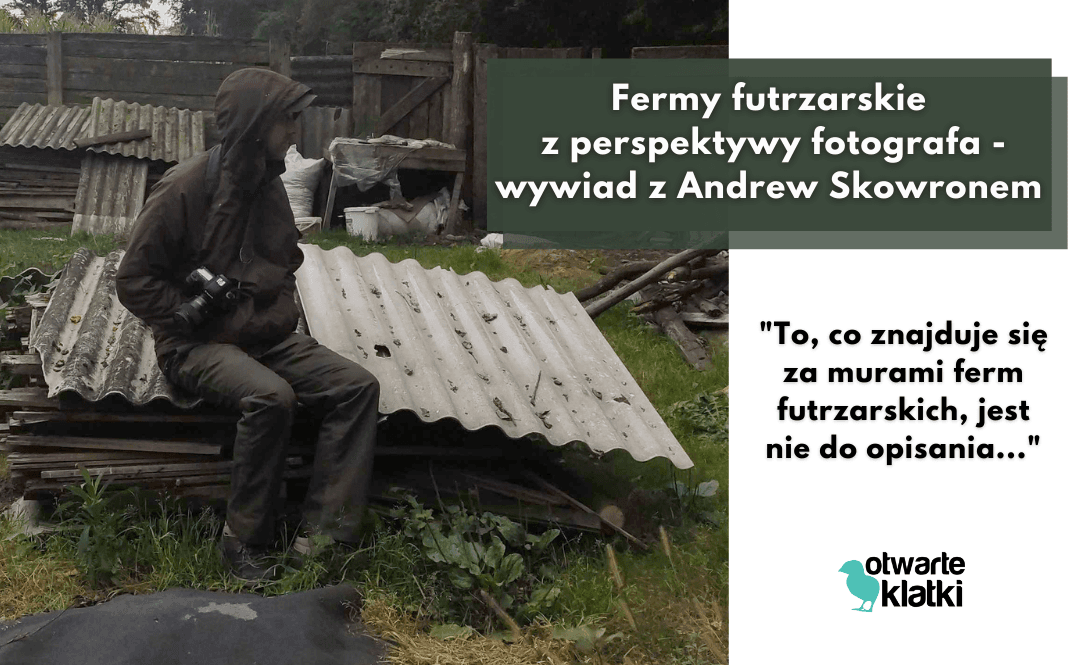 Fermy futrzarskie z perspektywy fotografa