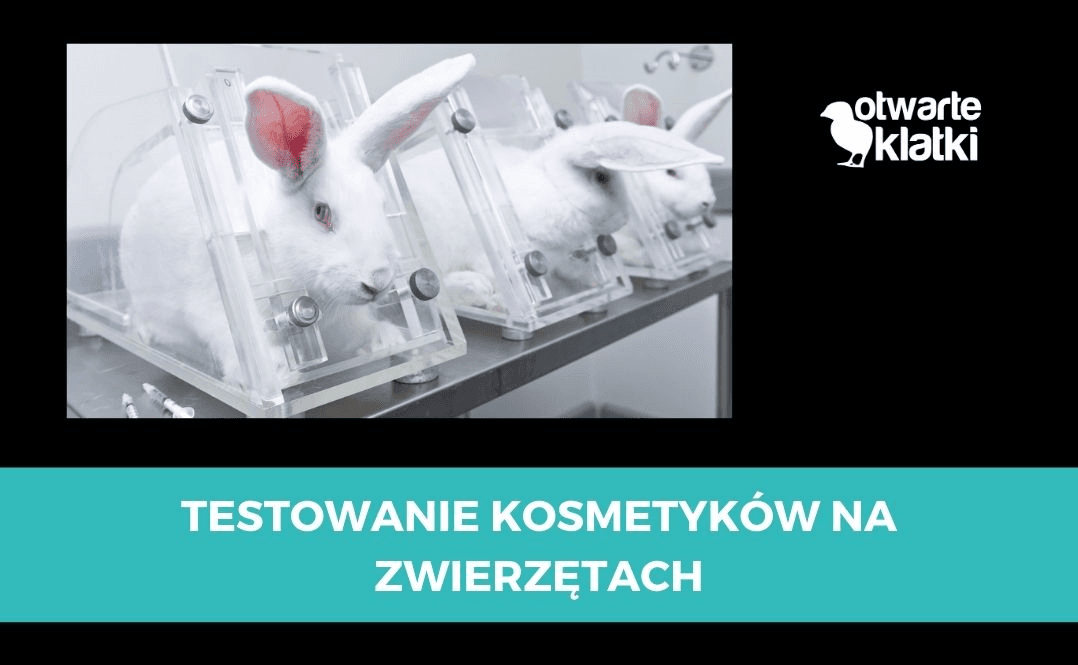 testowanie kosmetyków na zwierzętach