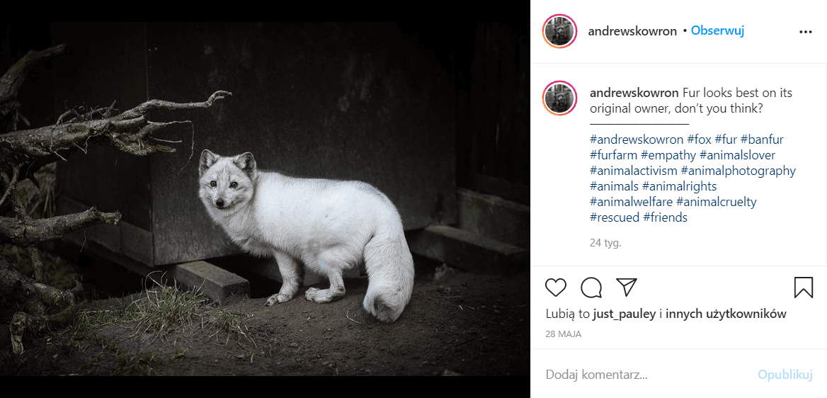 konta na Instagramie, kt�re warto obserwowa