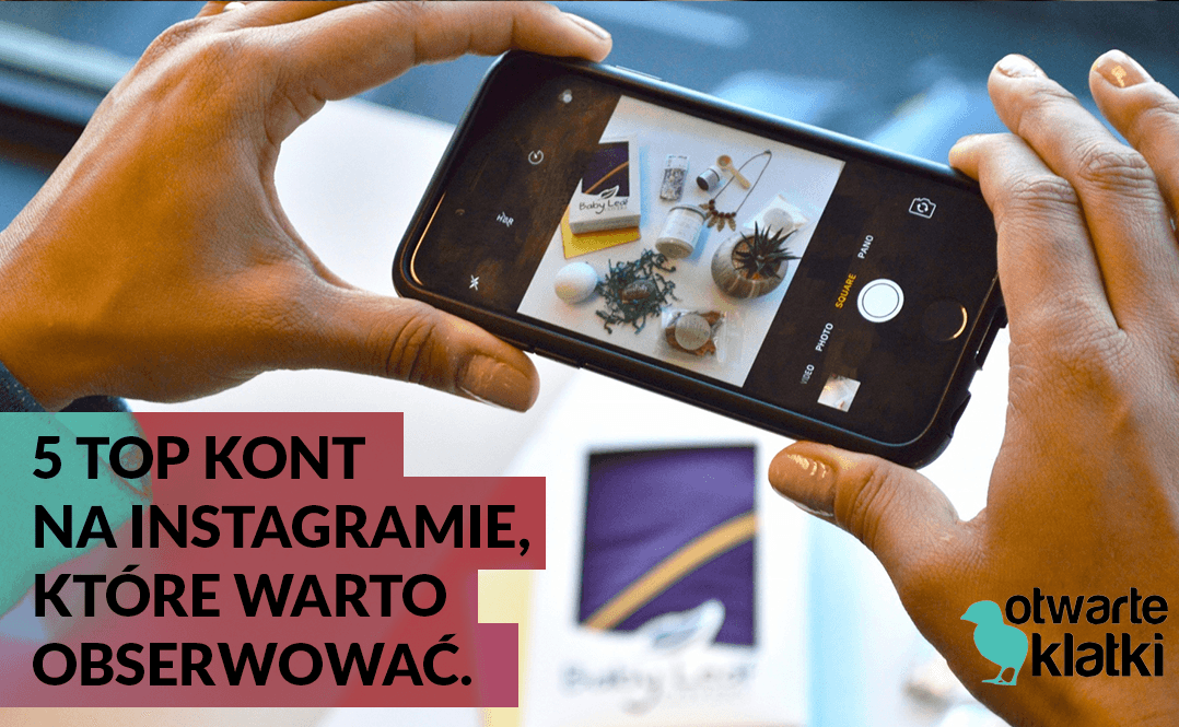 konta na Instagramie, które warto obserwować