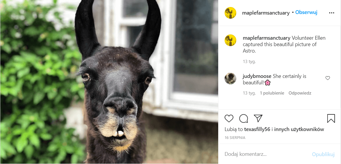 konta na Instagramie, kt�re warto obserwowa