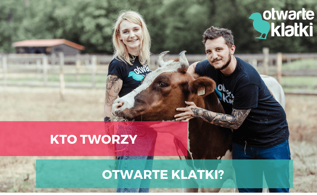 różnorodność Otwarte Klatki