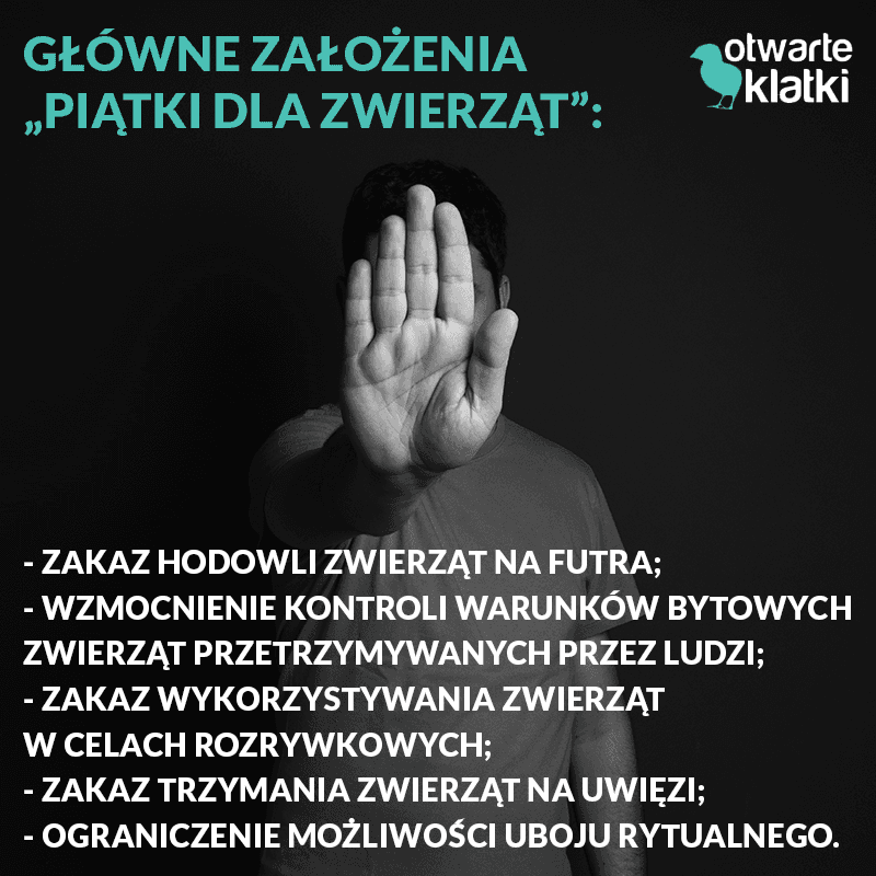 pitka dla zwierzt