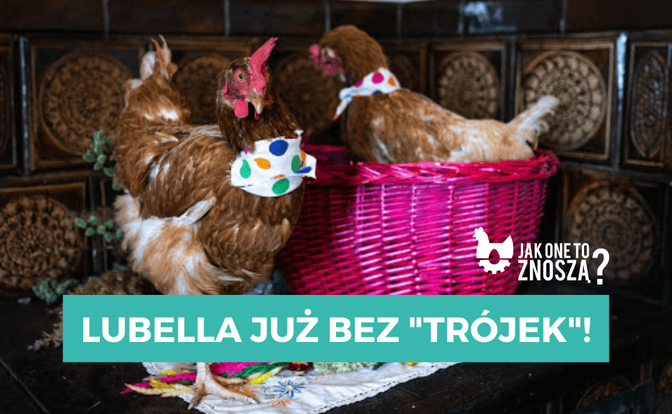 Lubella wycofuje trójki