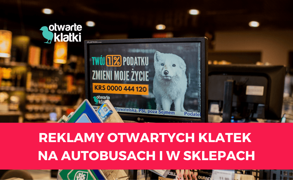 Reklamy na autobusach