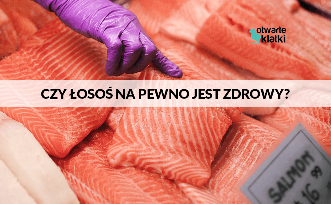 Czy łosoś jest zdrowy