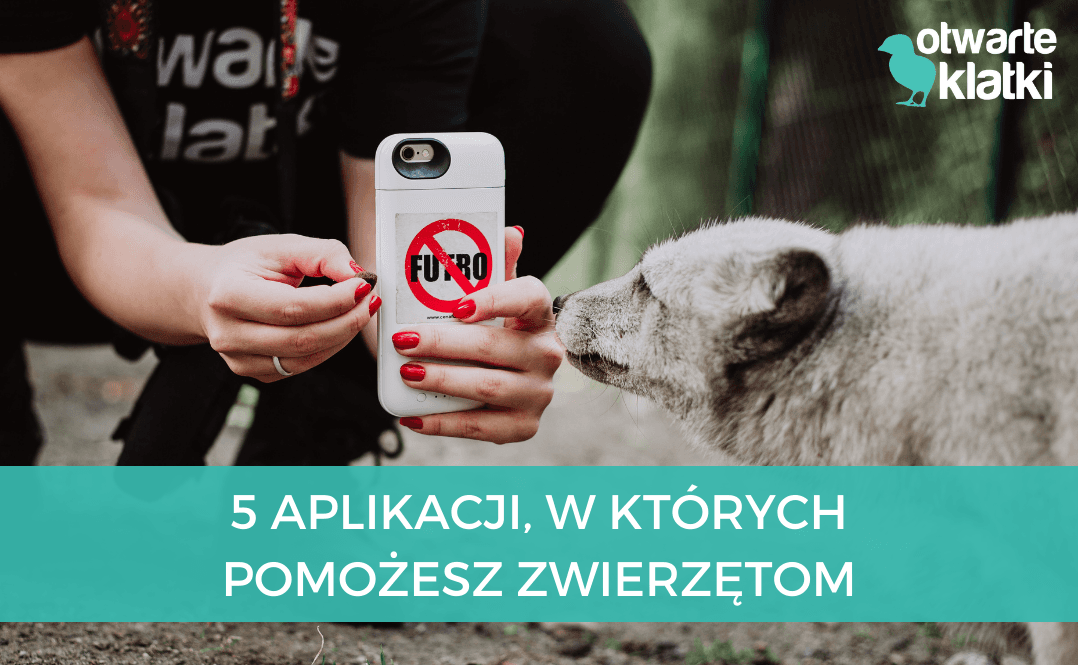 5 aplikacji, w któłrych pomożesz zwierzętom