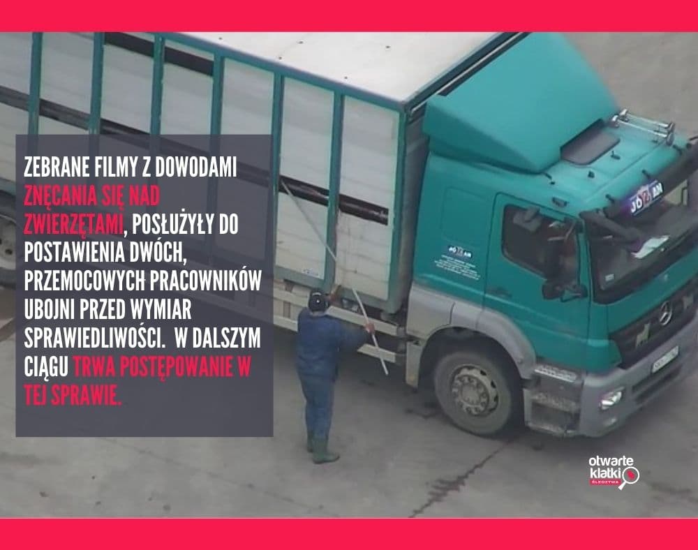 pracownik ubojni Józan