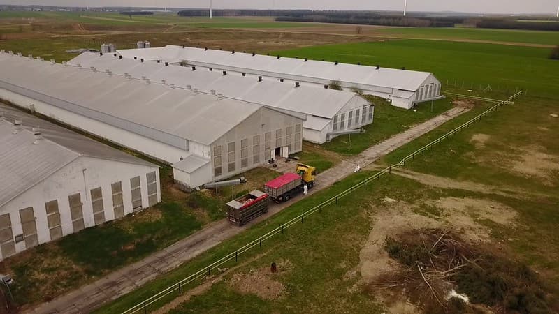 Ferma przemysłowa w okolicach Żuromina i Mławy