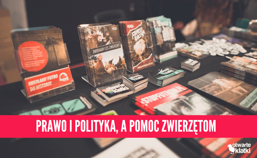 prawo i polityka, a pomaganie