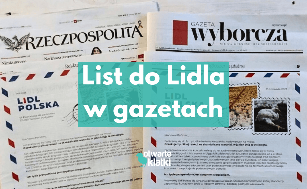 list do lidla w gazecie