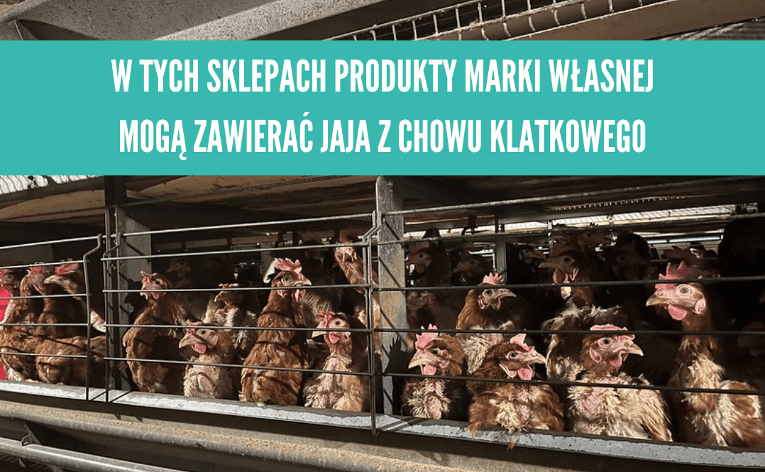 jajka trójki w produktach marek własnych