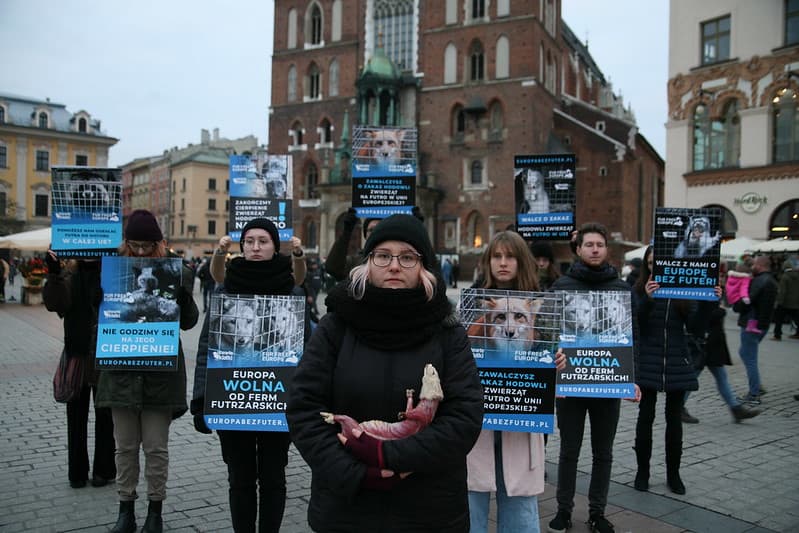 Akcja uliczna na rzecz zakazu hodowli zwierząt na futra