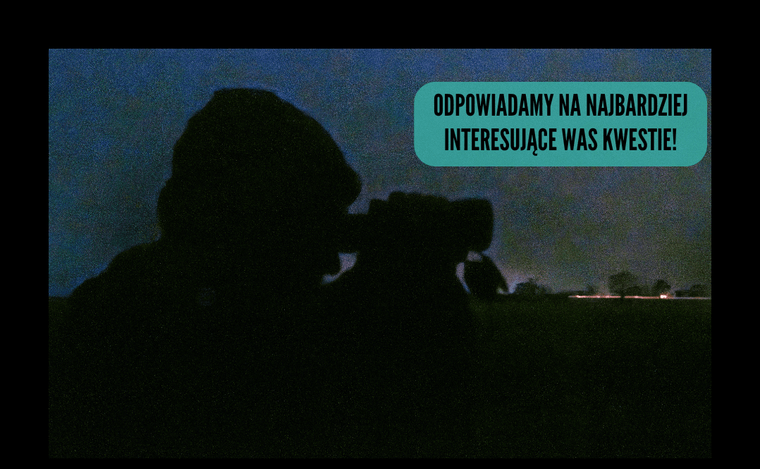 aktywista przy pracy