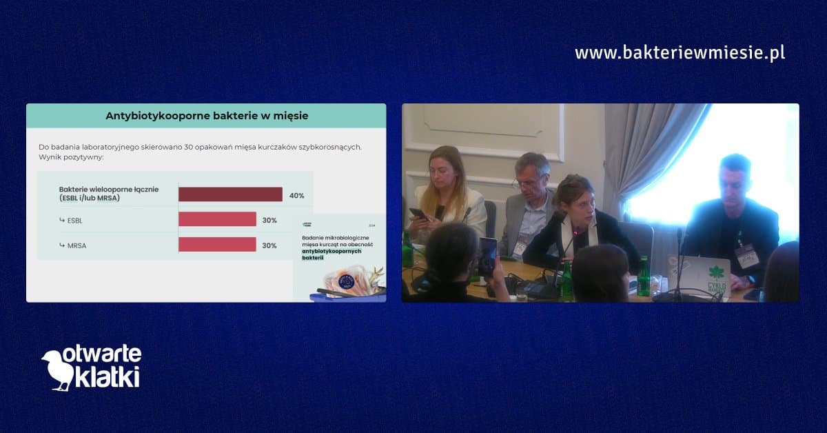 Fragment prezentacji jednej z osób przemawiających na posiedzeniu podkomisji