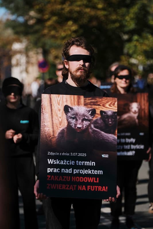 Aktywista z opaską na oczach trzyma planszę z hasłem skierowanym do polityków: Wskażcie termin prac nad projektem zakazu hodowli zwierząt na futra!