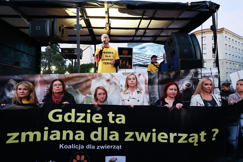 wielki marsz