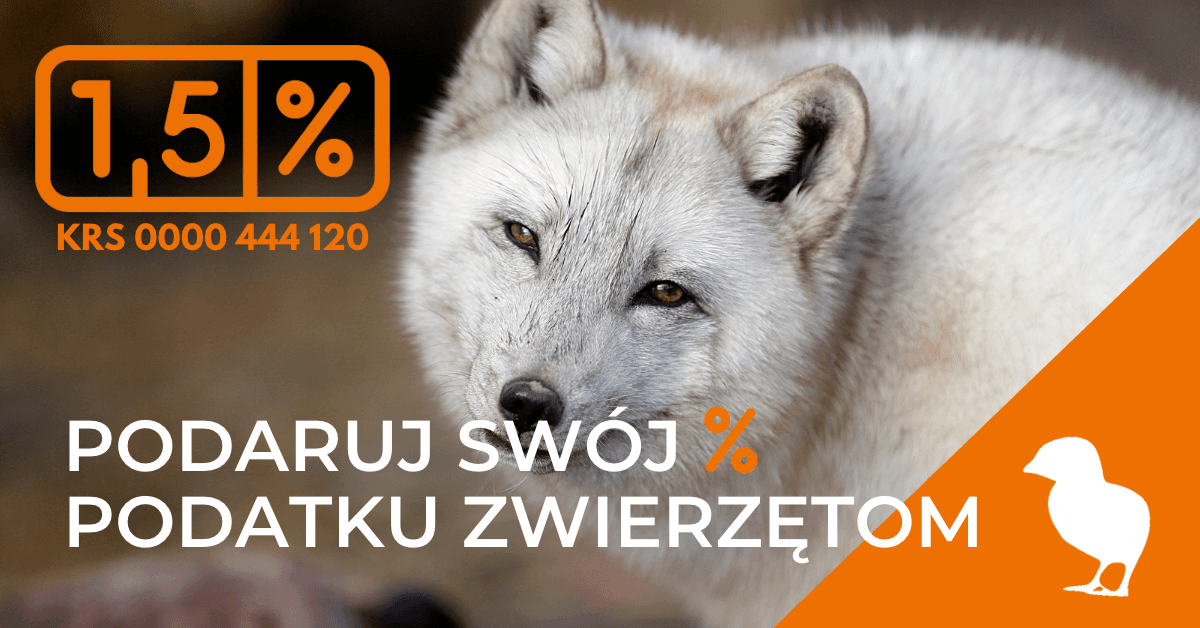 Podaruj swój % podatku zwierzętom